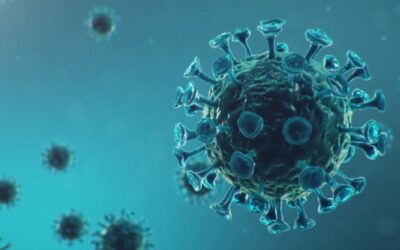 Coronavirus outbreak. Pathogen affecting the respiratory tract. COVID-19 infection. Concept of a pandemic, viral infection. Coronavirus inside a human. Viral infection. 3D illustration Coronavirus outbreak. Pathogen affecting the respiratory tract. COVID-19 infection. Concept of a pandemic, viral infection. Coronavirus inside a human. Viral infection. 3D illustration